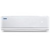 Blue Star AC
